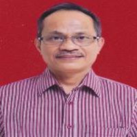 dr. Naik Manurung Profile Photo