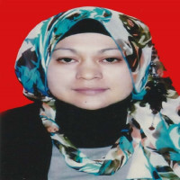 dr. Dessy Susilawati Hasibuan, Sp.OG Profile Photo