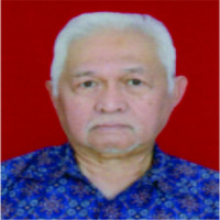 dr. Diapari Siregar, Sp.OG Profile Photo