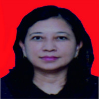 dr. Rasmita Ulina Ginting, Sp.A Profile Photo