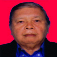dr. Poltak Nainggolan, Sp.PD Profile Photo