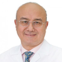 Dr. Ibrahim Mahmoud Elmetwally Mansour Profile Photo