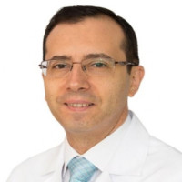 Dr. Walid Radwan El Sayed Profile Photo