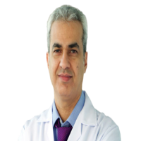 Dr. Qasim Lefta Abbas Profile Photo