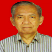 dr. Handi Rohandi, Sp.A Profile Photo