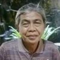 dr. Rhein Tolip Profile Photo