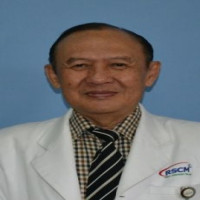 Prof. Dr. dr. Heru Sundaru, Sp.PD-KAI Profile Photo