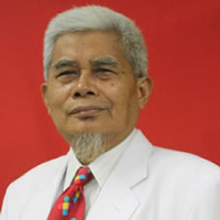 dr. Hadjat Santosa Digdowirogo, Sp.A Profile Photo