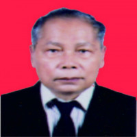 Prof. Dr. dr. Taralan Tambunan, Sp.A(K) Profile Photo