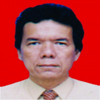 dr. Monang Simarmata, Sp.M Profile Photo