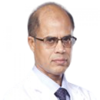 Dr. Muhammad Zia Ul Haque Ansari Profile Photo