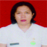 dr. Saurmatua Gultom Profile Photo
