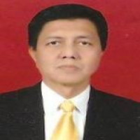 dr. Hidayat Anwar, Sp.THT-KL Profile Photo