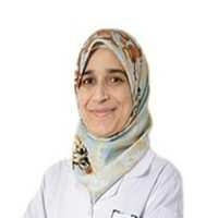 Dr. Wafa Ben Mansour Profile Photo